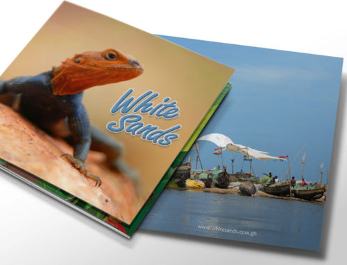 White Sands Roll Fold Brochure